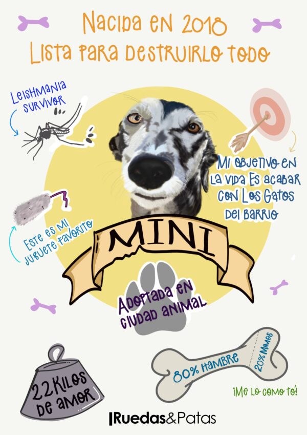 Lamina biografica perro