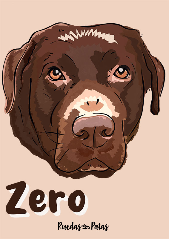 Zero