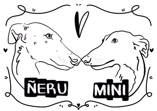 Lineal neru mini