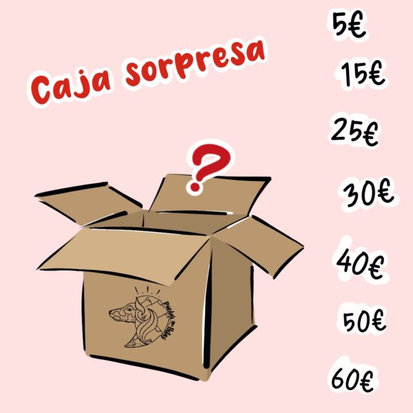 caja sorpresa