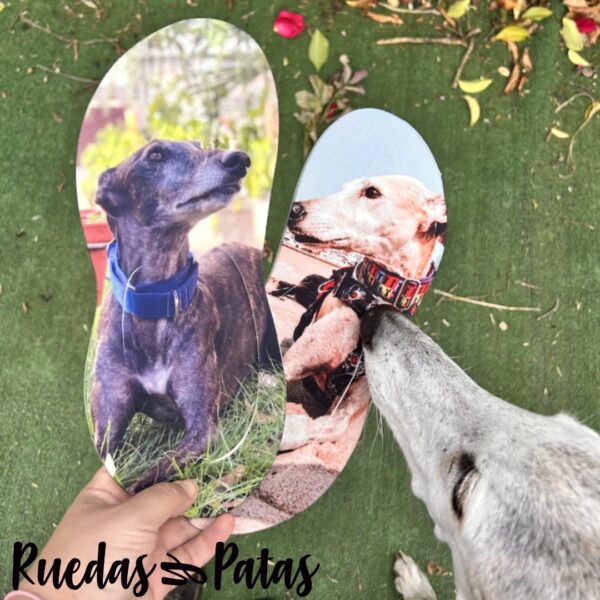 Chanclas - Imagen 11