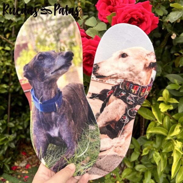 Chanclas - Imagen 6